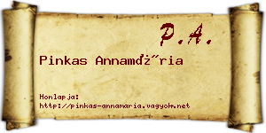 Pinkas Annamária névjegykártya